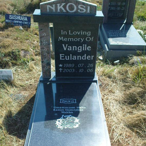 //v.kwikweb.co.za/vyfster/photos/box 8.png
